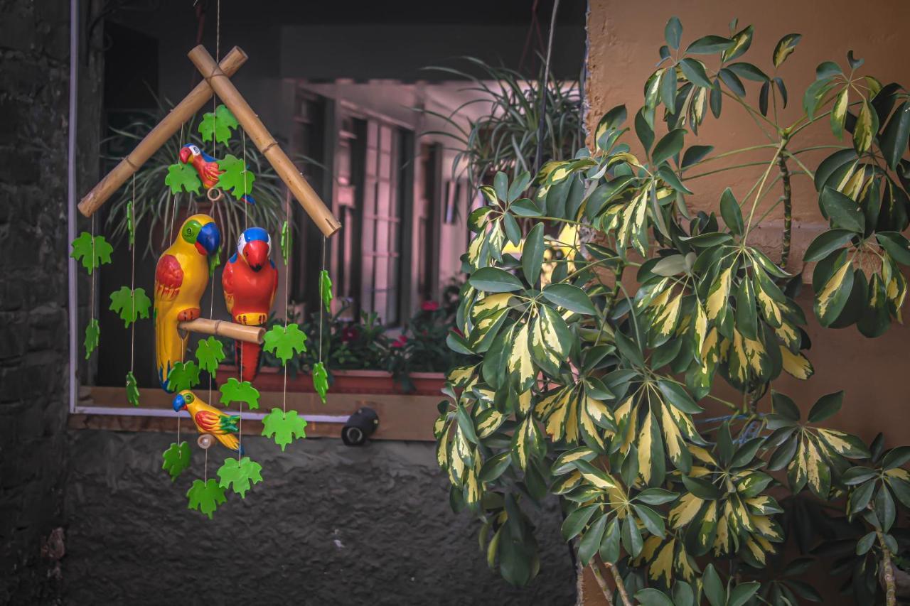 Hotel Virgen Del Carmen - Huaraz エクステリア 写真