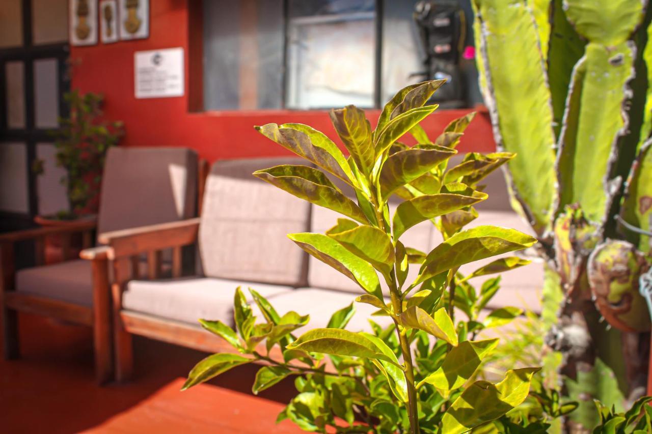 Hotel Virgen Del Carmen - Huaraz エクステリア 写真